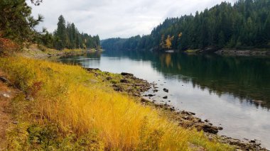 Washington eyaletinde bir nehir boyunca sonbahar renkleri