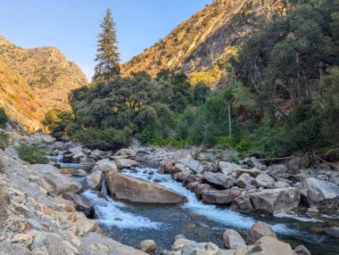 Altın saatinde King 's Canyon Ulusal Parkı' ndan akan nehir.