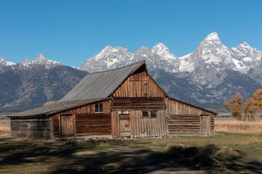 Grand Teton sıradağlarının önündeki terk edilmiş ahır.