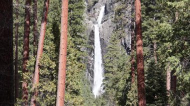 Yosemite ormana doğru düşüyor.