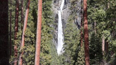 Yosemite ormana doğru düşüyor.