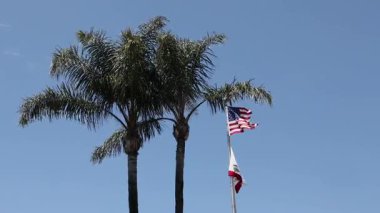 Amerikan ve Kaliforniya eyaletlerinin bayrakları rüzgarda dalgalanıyor palmiye ağaçlarının yanında
