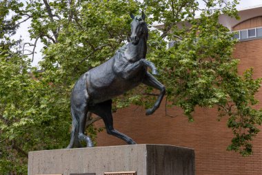 San Luis Obispo, CA - 3 Mayıs 2025: Kaliforniya Politeknik Devlet Üniversitesi Mustang Heykeli