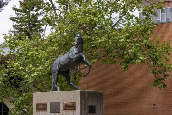 San Luis Obispo, CA - 3 Mayıs 2025: Kaliforniya Politeknik Devlet Üniversitesi Mustang Heykeli