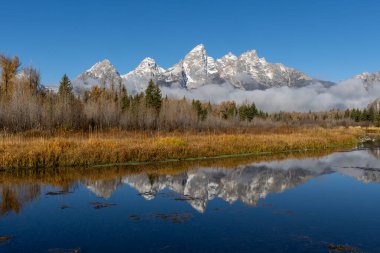Schwabacher 'ın inişinde Grand Tetons yansıması.