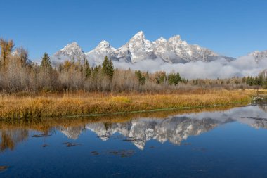 Schwabacher 'ın inişinde Grand Tetons yansıması.