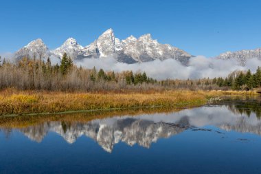 Schwabacher 'ın inişinde Grand Tetons yansıması.