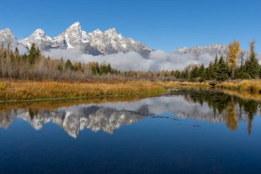 Schwabacher 'ın inişinde Grand Tetons yansıması.