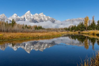 Schwabacher 'ın inişinde Grand Tetons yansıması.