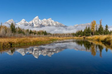 Schwabacher 'ın inişinde Grand Tetons yansıması.
