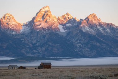 Teton Dağları 'ndaki ilk sabah ışığı ön planda Mormon kürekleriyle.