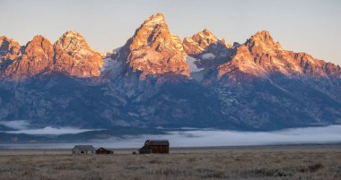 Teton Dağları 'ndaki ilk sabah ışığı ön planda Mormon kürekleriyle.