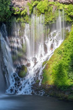 MacArthur-Burney Şelalesi Kuzey Kaliforniya 'da