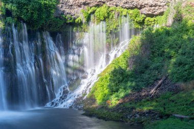 MacArthur-Burney Şelalesi Kuzey Kaliforniya 'da