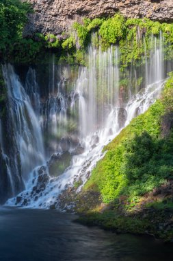 MacArthur-Burney Şelalesi Kuzey Kaliforniya 'da
