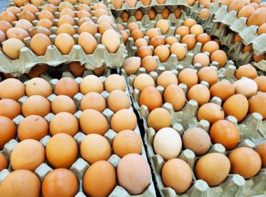 Jakarta süpermarketinde sıralanmış tavuk yumurtaları..