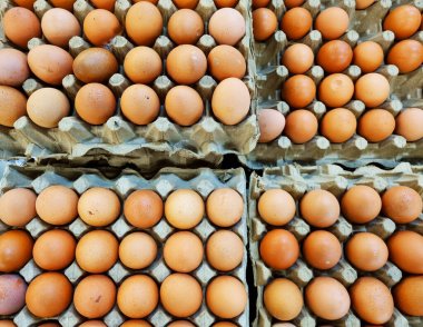 Jakarta süpermarketinde sıralanmış tavuk yumurtaları..