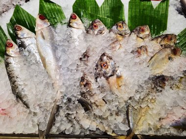 Jakarta süpermarketinde buzda taze balık..