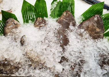 Jakarta süpermarketinde buzda taze balık..