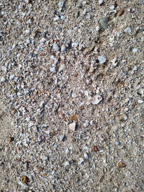 Bayah 'taki Karang Taraje Sahili' nin kumlu yüzeyi. Bayah, Banten, Lebak Regency 'de bir alt bölgedir..