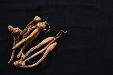 Temu kunci kök yumrusu şeklinde pişirilmiş bir baharattır. Temu kunci, parmak kökü (İngilizce), Krachai (Tayca), Çin anahtarı (Çince) veya ao chun jiang (Çince) olarak bilinir.).