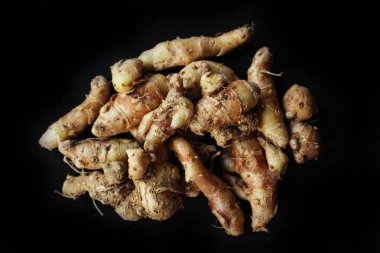 Kencur Endonezya 'nın geleneksel baharatlarından biridir. Aromatik zencefil, kum zencefili, kaempferia galanga ve daha az galangal İngilizce 'de kencur anlamına gelir..