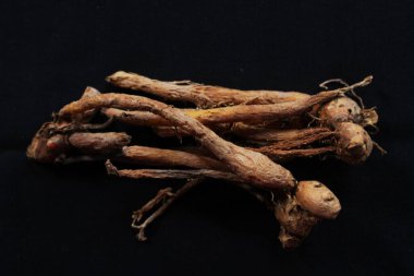 Temu kunci kök yumrusu şeklinde pişirilmiş bir baharattır. Temu kunci, parmak kökü (İngilizce), Krachai (Tayca), Çin anahtarı (Çince) veya ao chun jiang (Çince) olarak bilinir.).