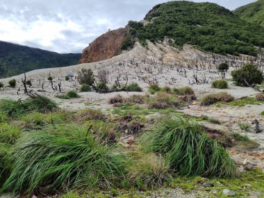 Papandayan Dağı 'nın ölü ormanı turistlerin ilgisini çeken egzotik bir yerdir. Ölü ağaçlar birkaç yıl önce çıkan yangınların izleri. Papandayan Dağı Garut, Batı Java, Endonezya 'da bulunmaktadır..