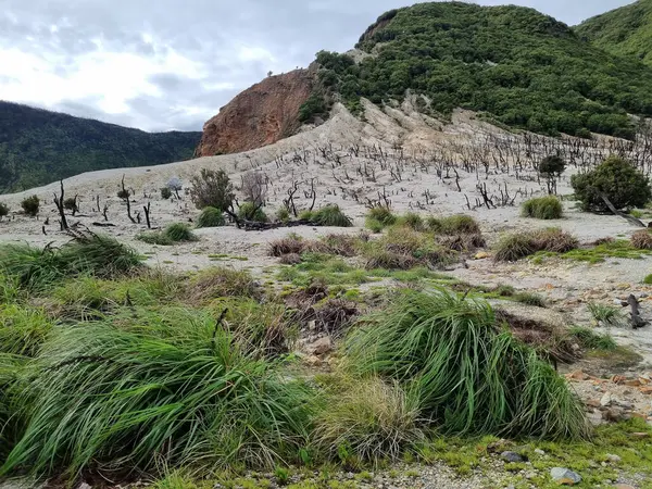 Papandayan Dağı 'nın ölü ormanı turistlerin ilgisini çeken egzotik bir yerdir. Ölü ağaçlar birkaç yıl önce çıkan yangınların izleri. Papandayan Dağı Garut, Batı Java, Endonezya 'da bulunmaktadır..