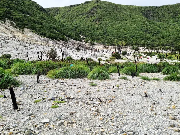 Papandayan Dağı 'nın ölü ormanı turistlerin ilgisini çeken egzotik bir yerdir. Ölü ağaçlar birkaç yıl önce çıkan yangınların izleri. Papandayan Dağı Garut, Batı Java, Endonezya 'da bulunmaktadır..