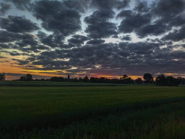 Clouds cover the sunset over the field, in the distance you can see the trees behind the green field and the sunset is covered by clouds.
