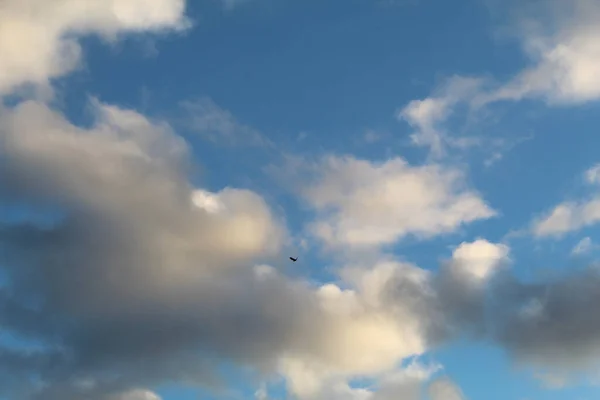 Mavi Gökyüzünün Arka Planındaki Kuş Yüzen Bulutlar — Stok fotoğraf