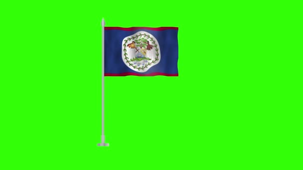 Флаг Белиза Флаг Белиза Зеленом Экране Хрома Ключ Белиз Анимации — стоковое видео