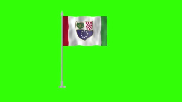 Vlag Van Bosnië Herzegovina Pole Flag Bosnia Herzegovina Green Screen — Stockvideo