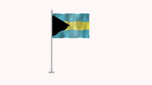 巴哈马国旗 白色屏幕上的巴哈马北极旗 白色背景下在风中飘扬的巴哈马3D动画旗 — 图库视频影像