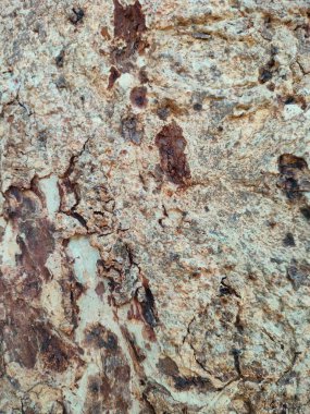 Ağaç kabuğu deseni ağaçtan pürüzsüz dokudur. Arka plandaki ahşap işlemeler için, Kahverengi Ağaç Kabuğu. Doğa, gövde, ağaç kabuğu, ahşap, ağaç gövdesi.