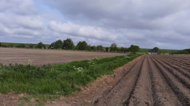 TZUMMARUM 'DA TİKRİLTİM, MÜZİK OLMAK, CLAY SOIL.