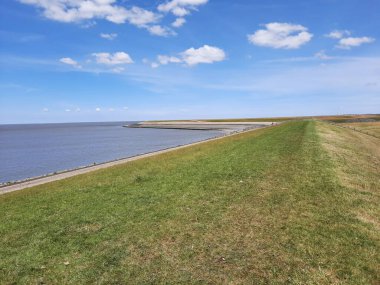 AFSÜITDiJK 'DE SEA SİYAHİ, ZURİH FRİESLAND' A KALDI..
