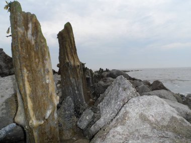 Wadden Sahili, Frisian Wadden Sahili boyunca yürü..