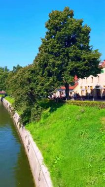 View of the Ljubljana river and the famous market square in Ljubljana on a sunny day. High quality photo