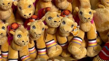 Abu Dhabi, UAE - January 9, 2024: Soft plush camels toys for children sitting in a row