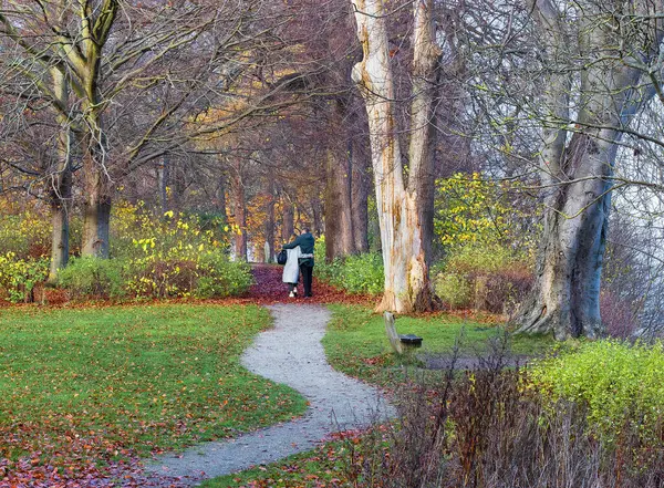 A guy and a girl walk hugging along a path in the autumn park. High quality photo