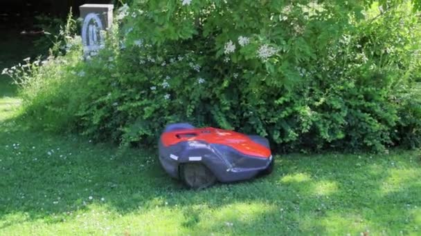 芝生を横切って芝生をカットするロボット芝刈り機 — ストック動画
