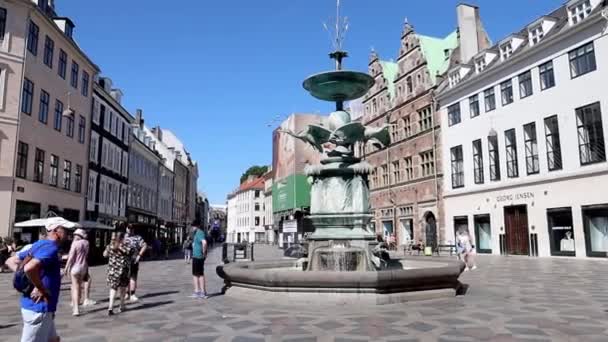 Famosa Fonte Cegonha Casas Antigas Tradicionais Rua Centro Copenhague Dinamarca — Vídeo de Stock