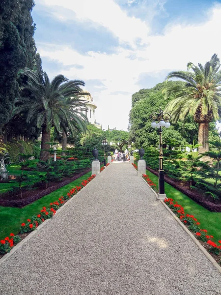 Path in the park with flowers and palm trees on a sunny summer day. High quality photo