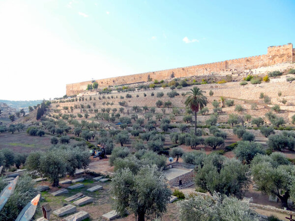 Панорамный вид на старый город Иерусалим. Высокое качество фото