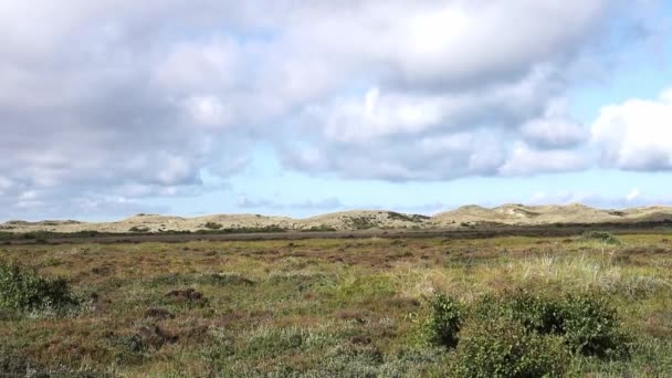 Mit Moos Und Gras Bedeckte Sanddünen Norddänemark Kap Grenen Bei — Stockvideo