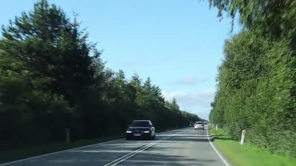 汽车沿着公路在森林中行驶 2023年9月10日 — 图库视频影像
