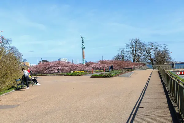 美しい春の日にラングレリーパークの桜 桜祭りについて デンマーク コペンハーゲン 2024年4月8日 — ストック写真