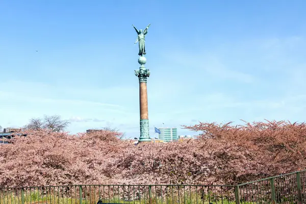 Cherry Blossom Dans Parc Langelinie Par Une Belle Journée Printemps — Photo